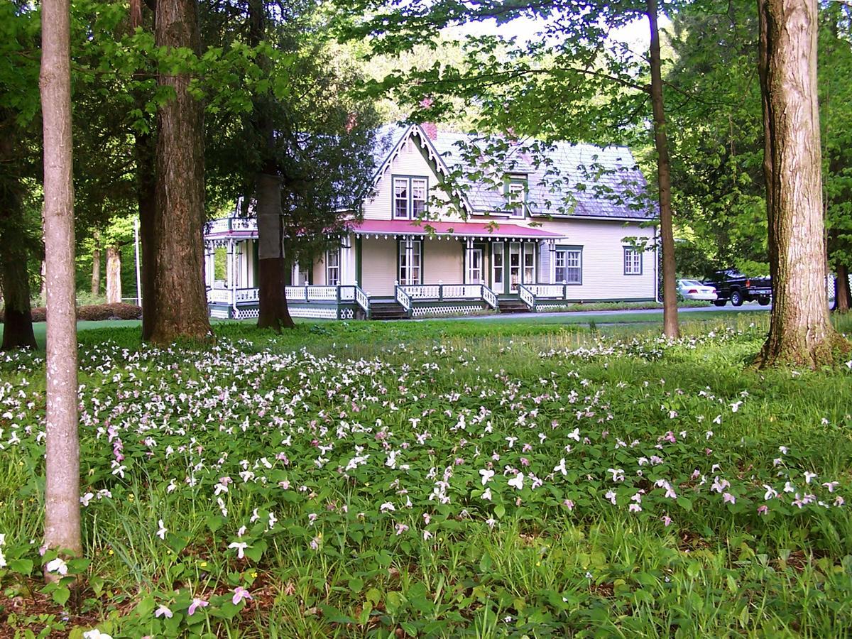 Dreamhouse Country Inn Bristol エクステリア 写真